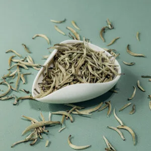 Silver Needle